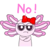 i ºN
