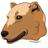 Adopt 9