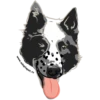 Adopt 10