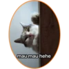 mau mau hehe