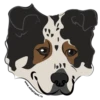 Adopt 11