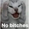 No bitches
@catswithcontext