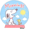 Snoopy 24