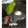 XD pero sin gracia 12