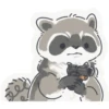 Toast the Raccoon 18