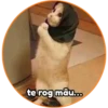 terogmatu