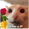 is for u