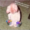 Here take this I carried it
all the way here for you