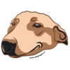 Adopt 15