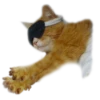 adk_cats_pack 6