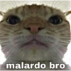 malardo bro