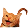 adk_cats_pack 7