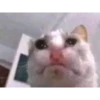 stikersuwuwuwu 5