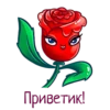 allayaroza 5