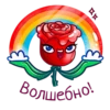 allayaroza 6