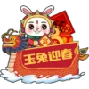 rabbit2023 9
