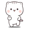 the kitten 8