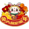 rabbit2023 11