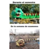UwU 10