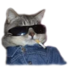 adk_cats_pack 11