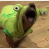 Surprise face 6