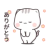 the kitten 11