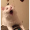 Surprise face 8