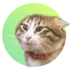 adoptapack 8