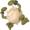 Pokémon Gen II: 29-58 16