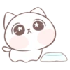 being kitten 15