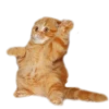 adk_cats_pack 15