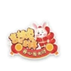 rabbit2023 16