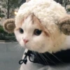 PETS! 21