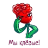 allayaroza 12