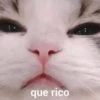 que rico