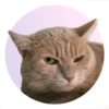 adoptapack 11