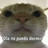 Ola no puedo dormir