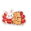 rabbit2023 20