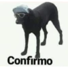 Confirmo