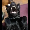 animalstickroom 19
