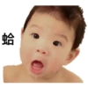 蛤