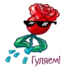 allayaroza 14