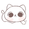 being kitten 23