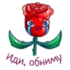 allayaroza 17