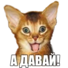 adk_cats_pack 22