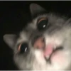 Surprise face 16
