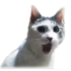adk_cats_pack 26