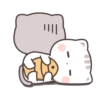 the kitten 21