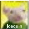 Joaquin