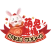 rabbit2023 27